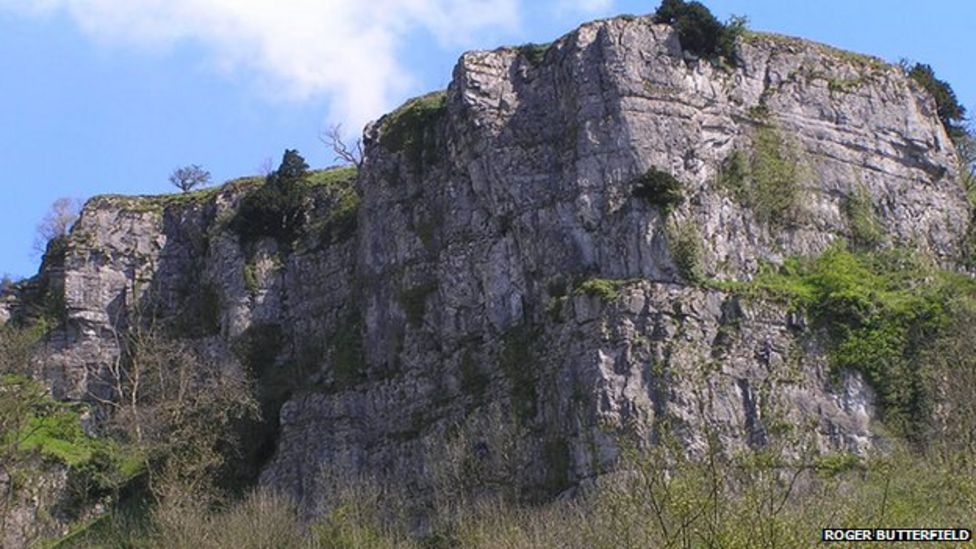 Ravensdale crag chicks are first for 20 years BBC News