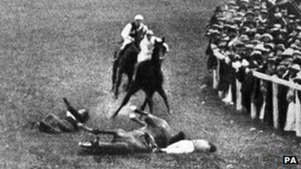 The Disturbing Truth About The Sedgwick County Horse Deaths - 4482koh