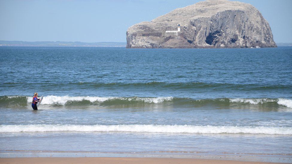 Surfer