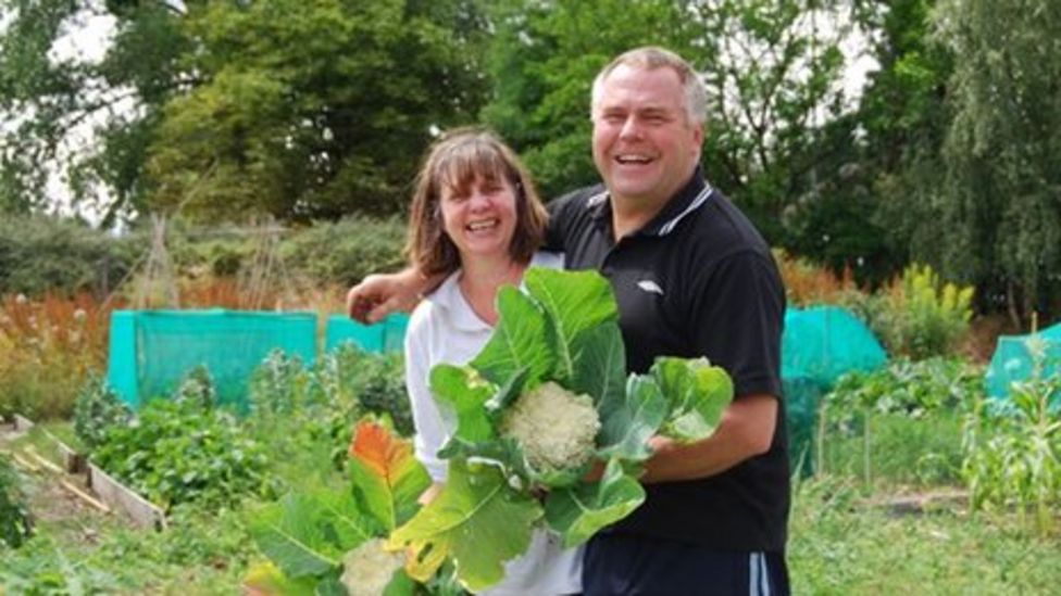 Allotment keeping proves no walk in the garden  BBC News