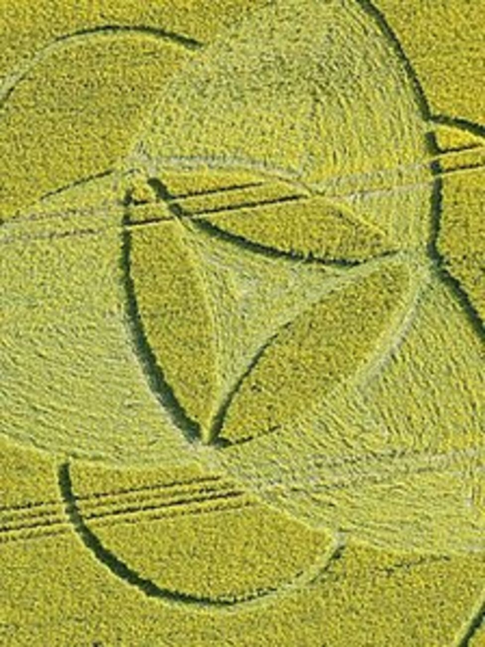 Crop Circle Visitors To Wiltshire Asked To Buy Access Pass - Bbc News