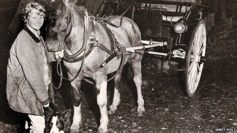 Farm case woman Holt claims Fred Handford murder BBC News