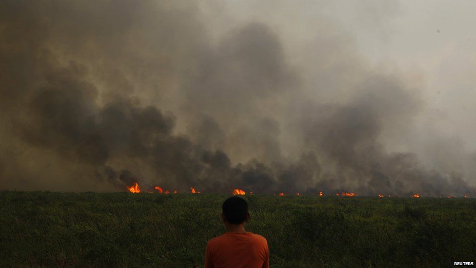 A villager looks at a burning palm oil plantation from Bangko Pusako, Riau province, June 22