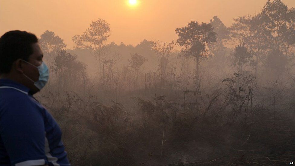 Smoke billows from a forest fire in Pekanbaru, Riau province, June 22