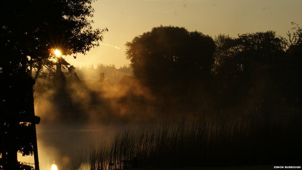 Your pictures: Sunshine - BBC News