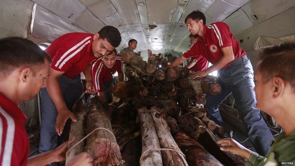 Soldiers and volunteers load wood on an Indian Air Force helicopter to be used for mass cremation at Kedarnath