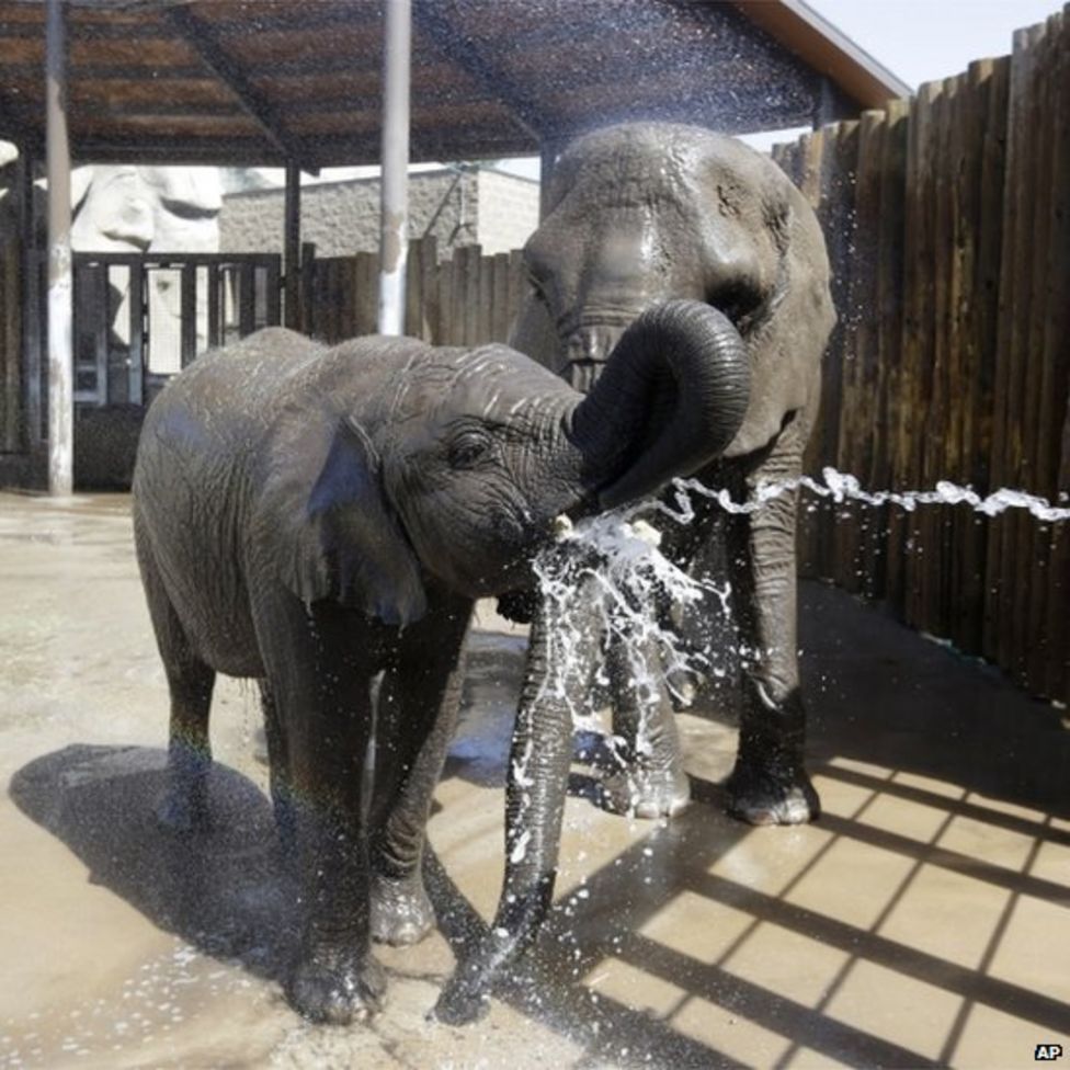 In pictures: Heatwave hits western US - BBC News