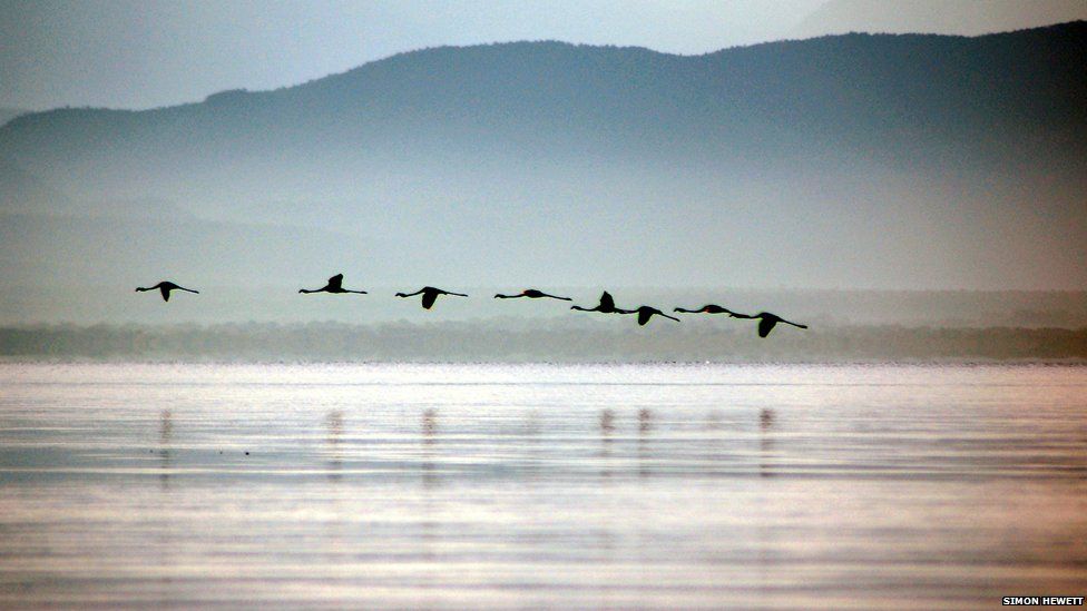 Lake Naivasha in Kenya