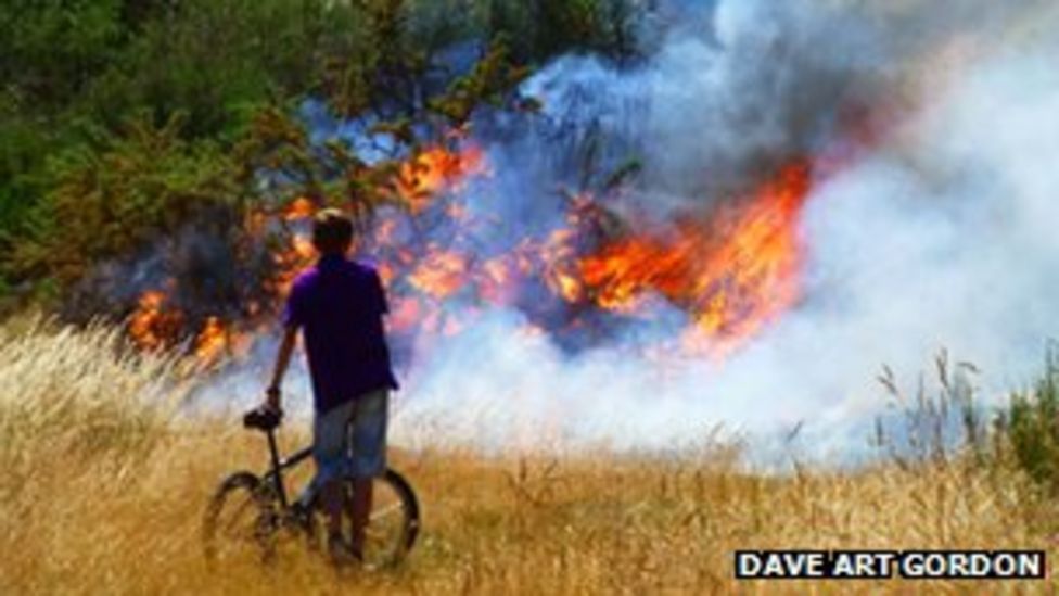 Epping Forest blaze under control BBC News
