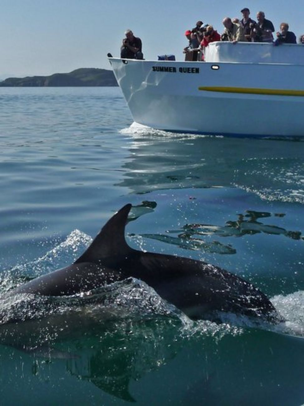 In pictures A sunny weekend across Scotland BBC News