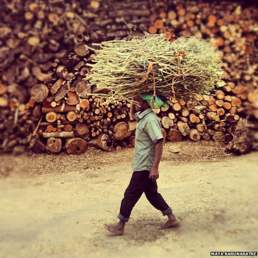 Your pictures Rural life BBC News