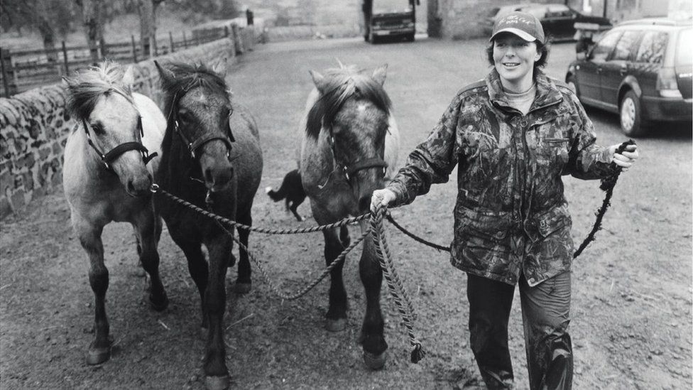 Sylvia agus eich, Migearnaidh