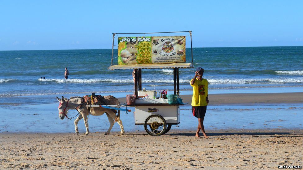 A donkey-powered bar