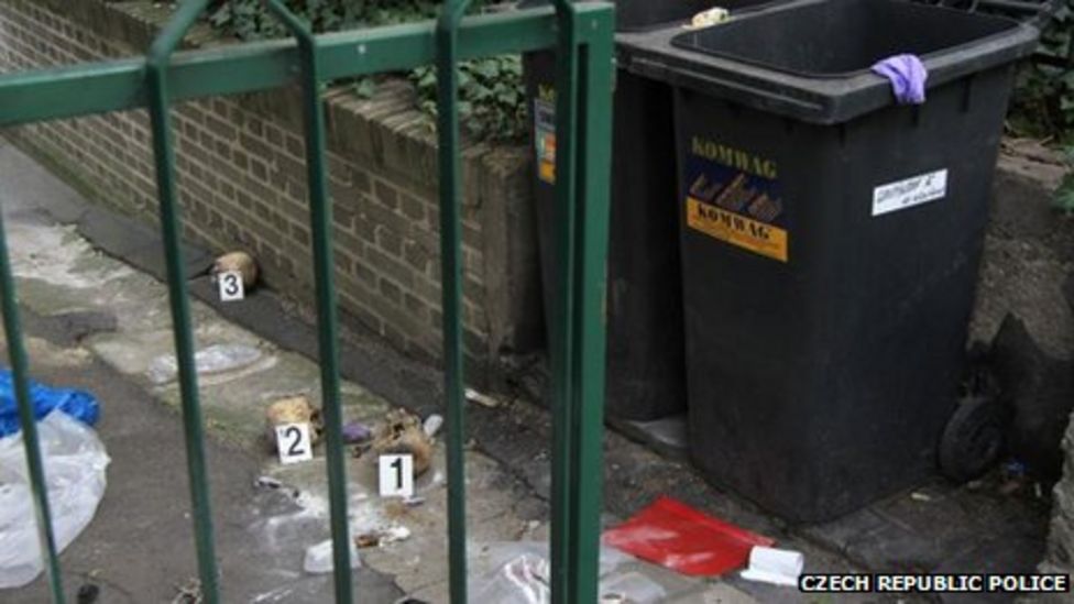 skulls-found-near-czech-school-in-prague-bbc-news