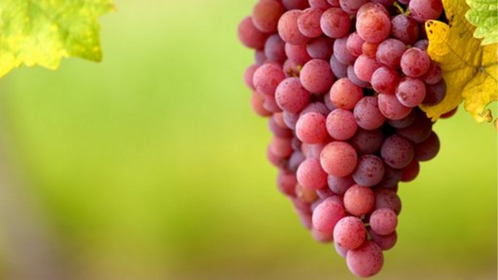 Red wine health benefits 'overhyped' BBC News