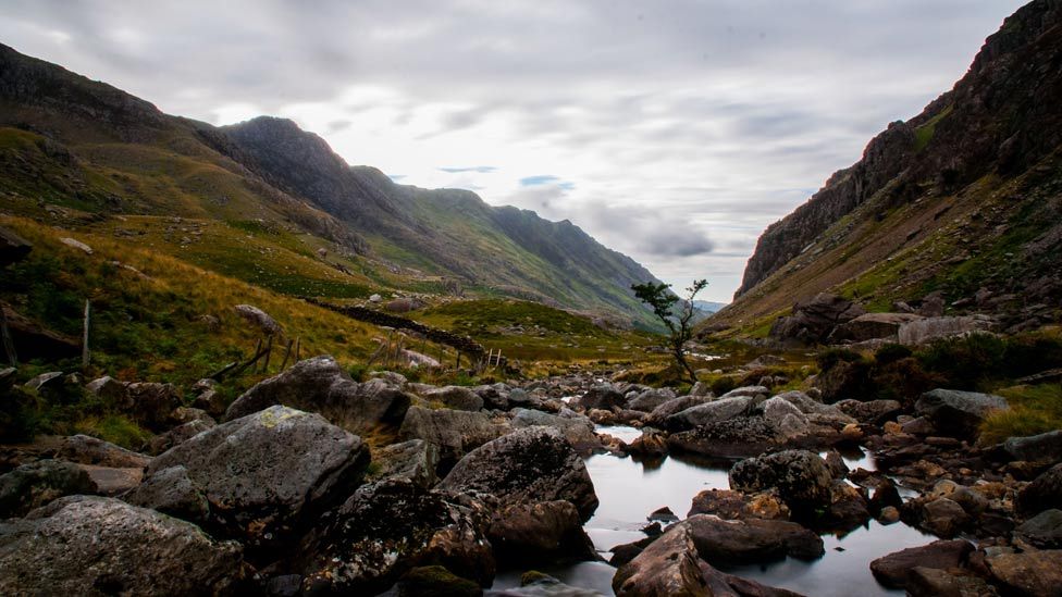 Your Pictures: Photos from Wales - BBC News