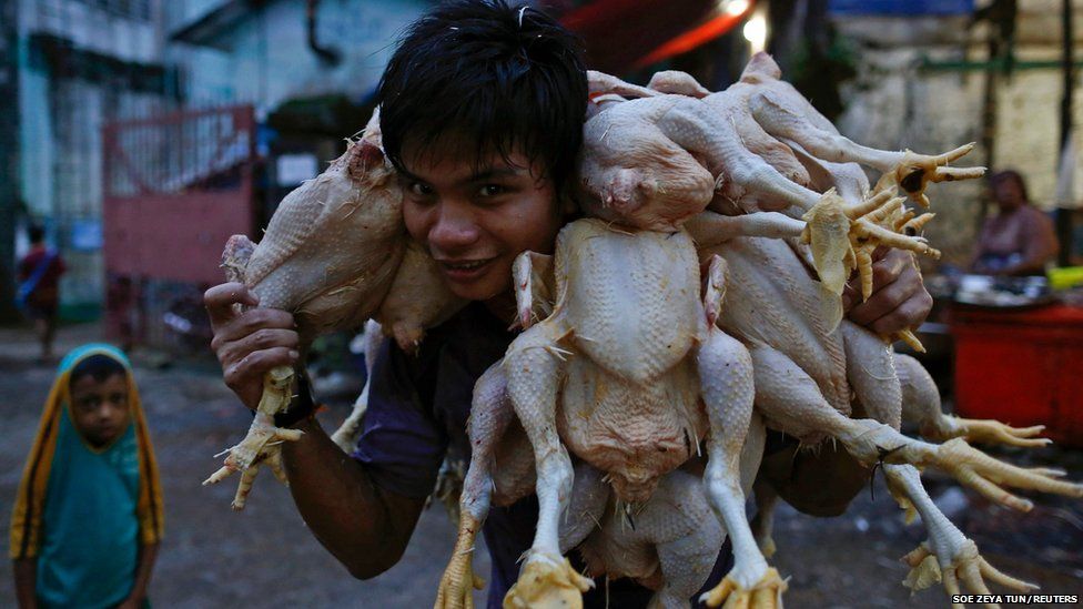 Day in pictures: 26 September 2013 - BBC News