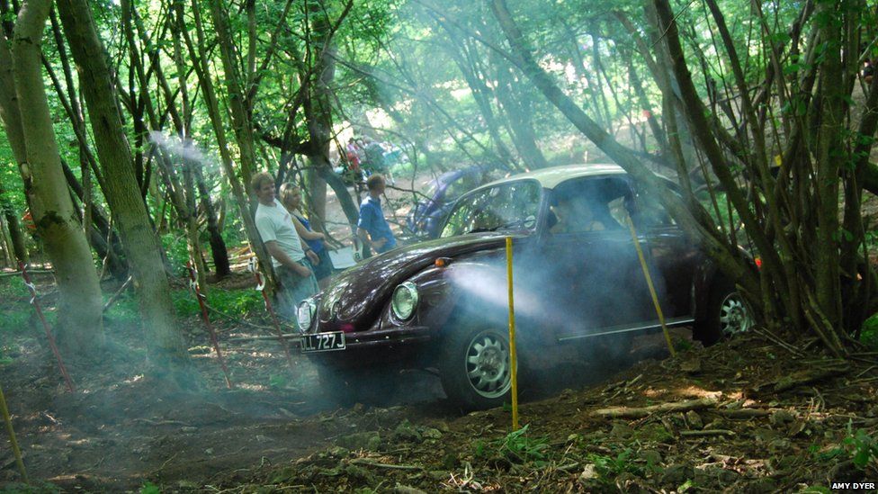 VW Beatle in woodland