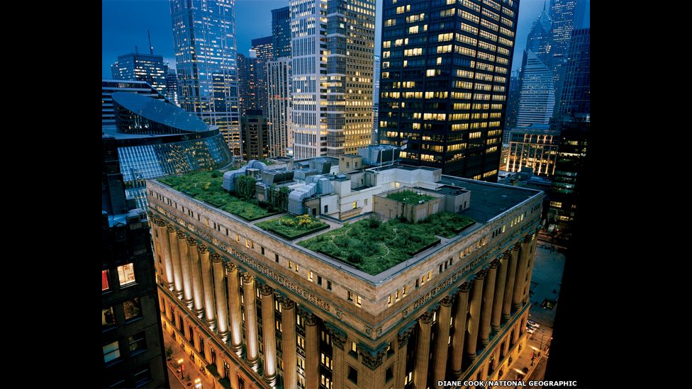 Chicago City Hall’s award-winning rooftop