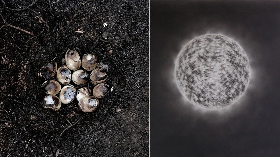 (L-R) Burnt Eggs in Nest by Gawain Barnard: and Chrysalis 1 by Ian Hodgson