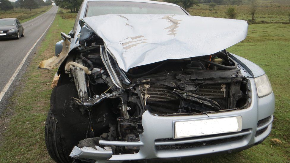 VW Touareg involved in fatal collision with pony
