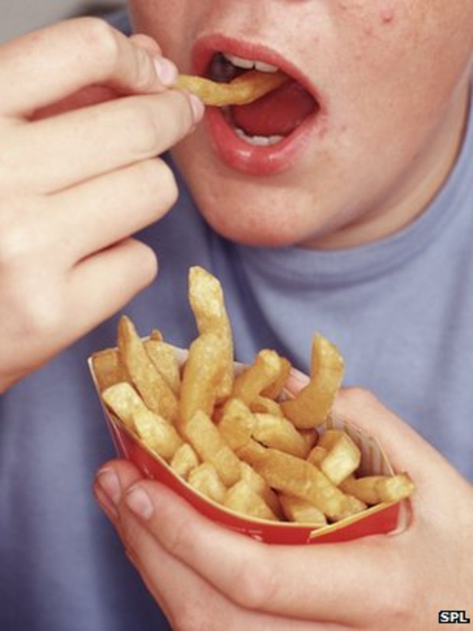 can you eat chips with high cholesterol