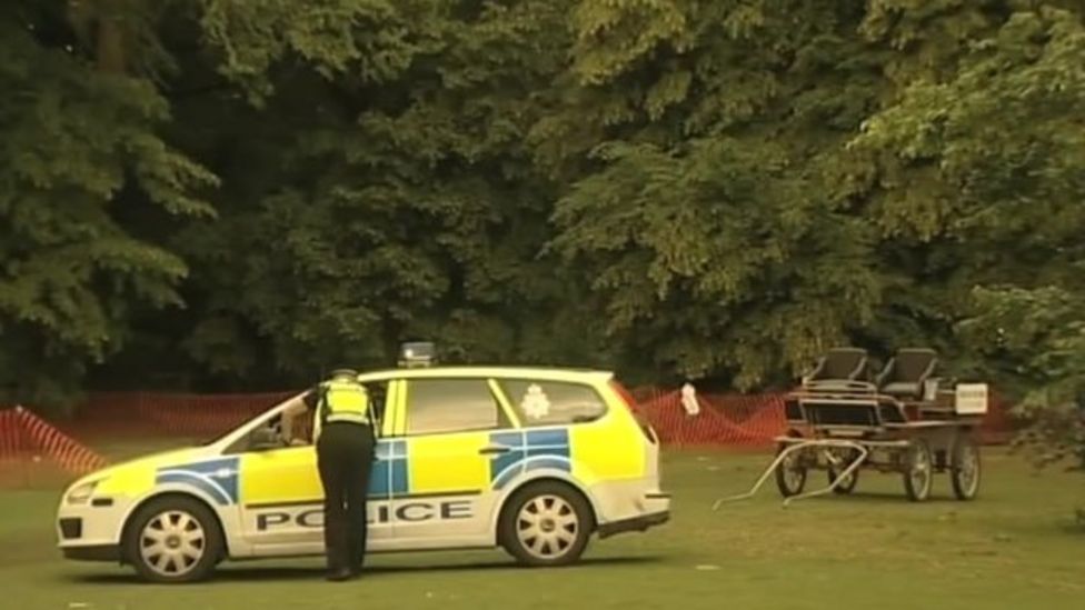 Bury St Edmunds horse death Council found not guilty BBC News