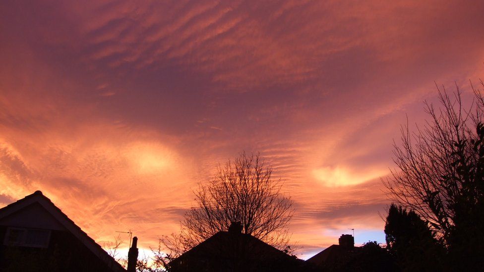 A pink cloudy sky at sunset. Trees and roof tops are dark below.