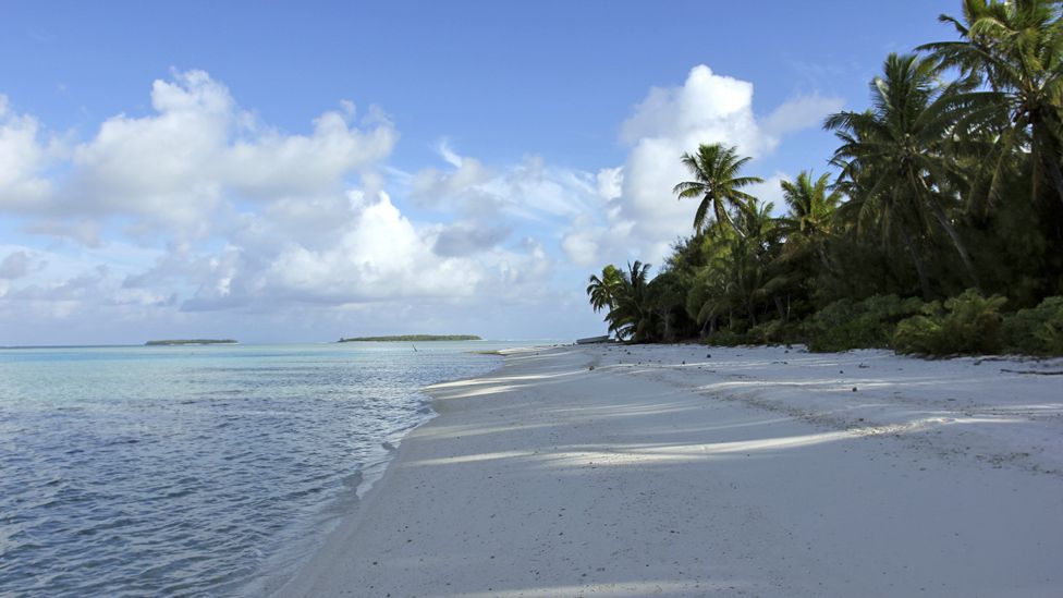 A Palmerston beach