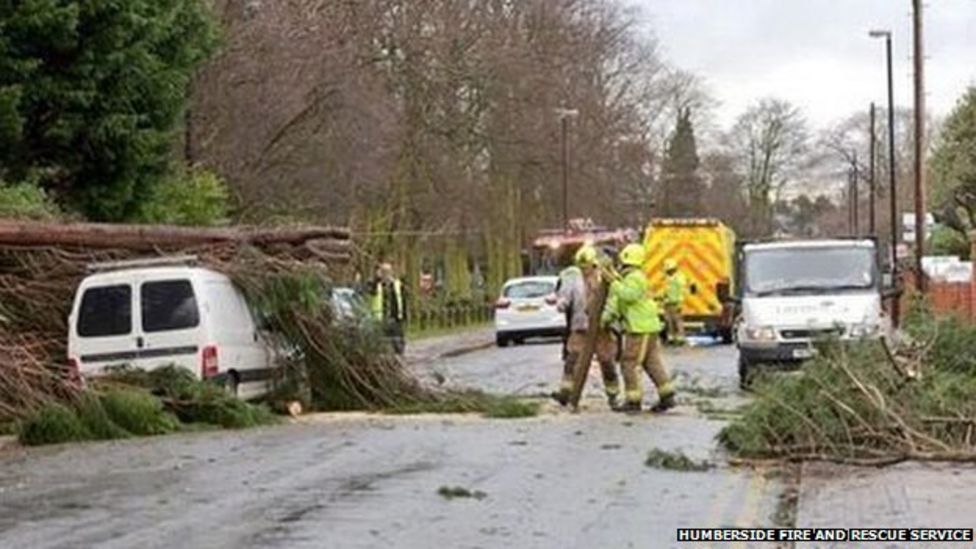 UK Storms: Yorkshire Woman Trapped By Falling Tree - BBC News