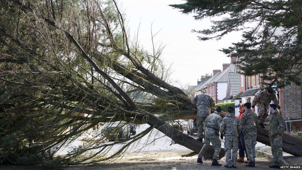 Soldiers help a tree surgeon remove a fallen tree in Egham, west London