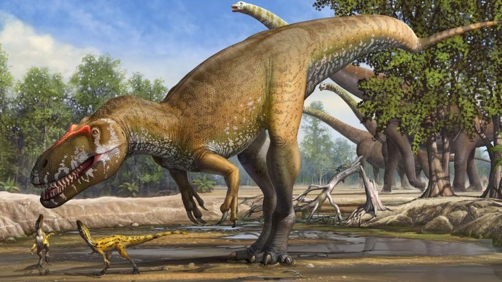 'Dreadnought' dinosaur yields big bone haul - BBC News