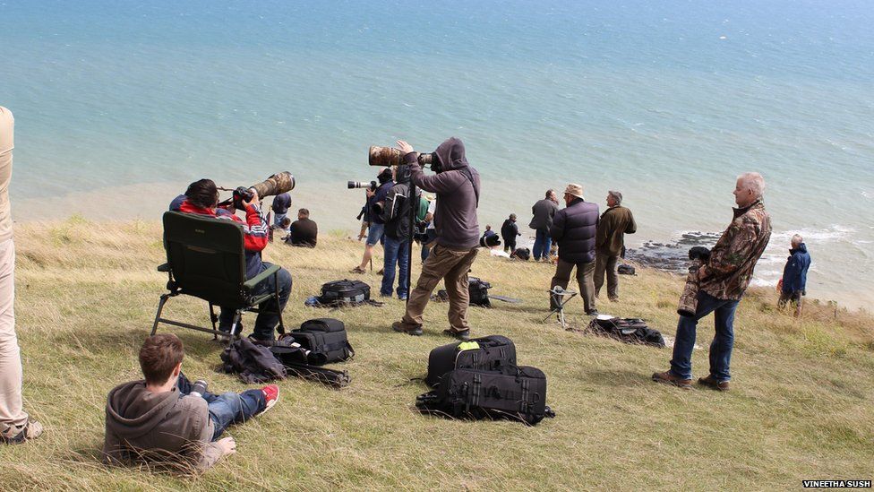 Photographers at Beachy Head