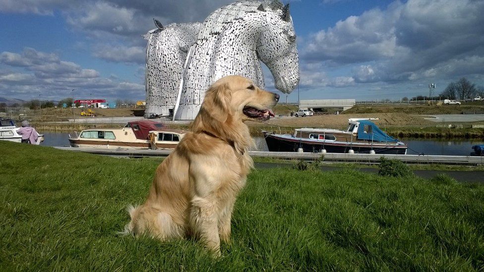 Tevin and The Kelpies