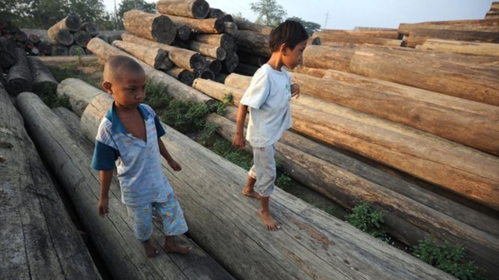 Unlikely 'champion' In Battle For Indonesia's Forests - BBC News