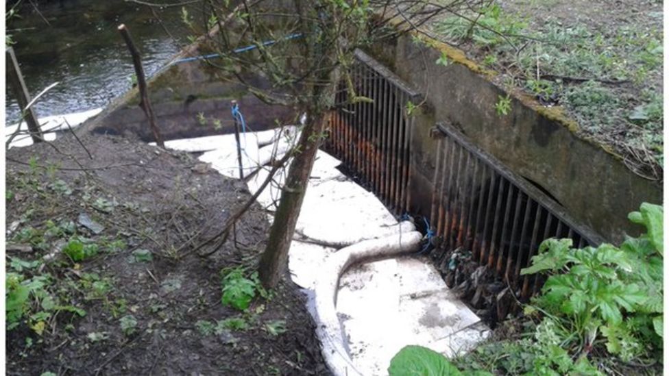 Sepa and Scottish Water probe pollution at Dighty Burn BBC News