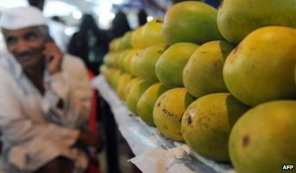 Ban on Indian mango imports to EU to be lifted BBC News