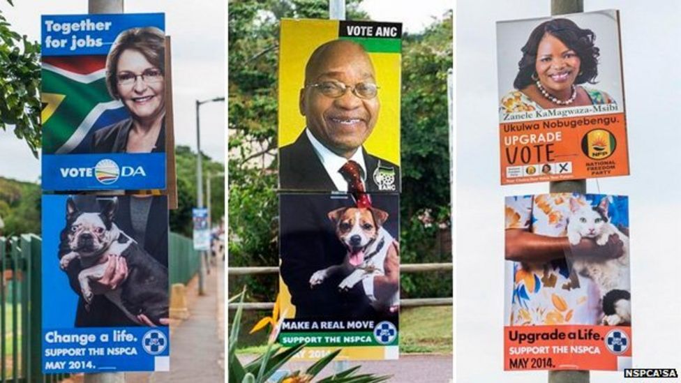 South Africa Poll ads turn candidates into petlovers BBC News