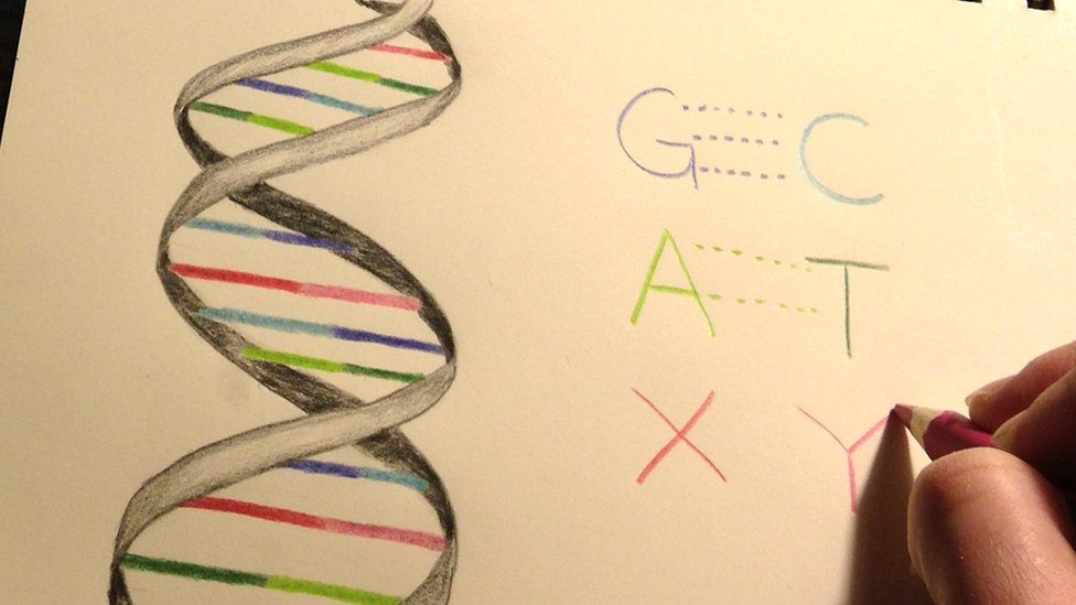 Artist illustration of DNA