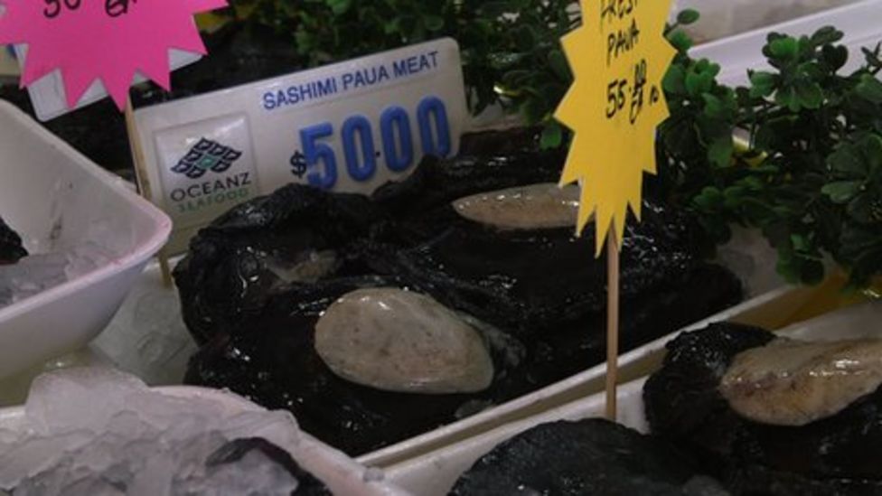 Why abalone is New Zealand's catch of the day BBC News