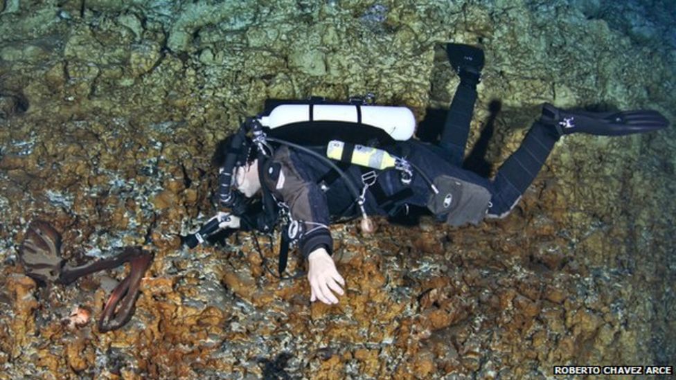 Sunken body clue to American origins BBC News