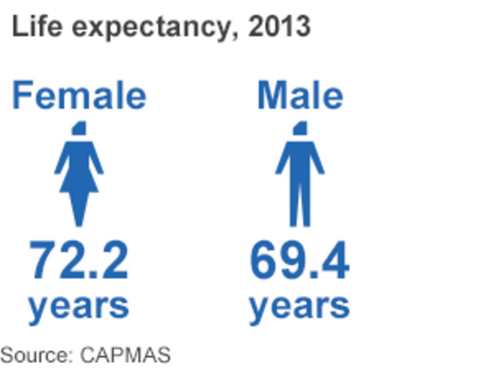 Egypt in numbers - BBC News