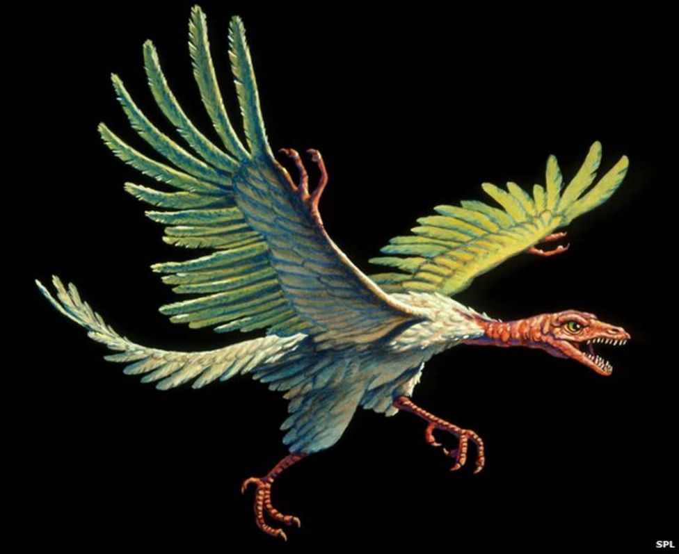 _75003400_e4450111-artwork_of_an_archaeopteryx,_the_first_bird-spl.jpg