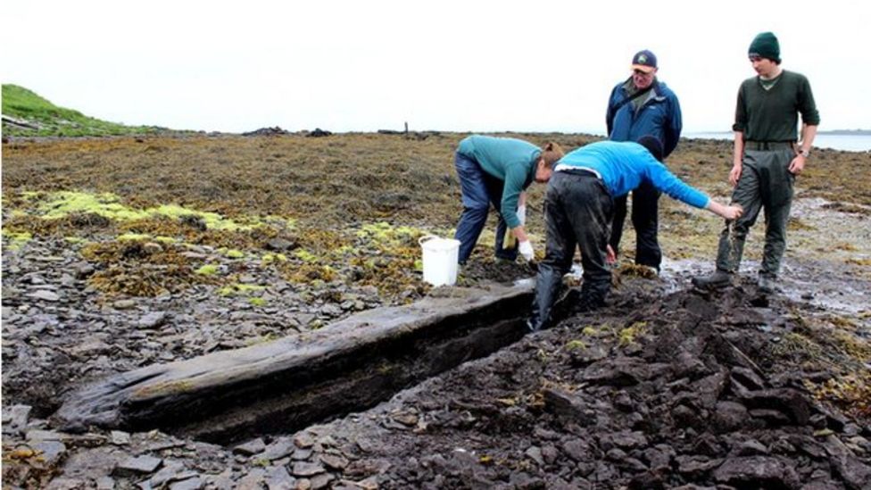 Plank of oak discovery in Orkney investigated BBC News