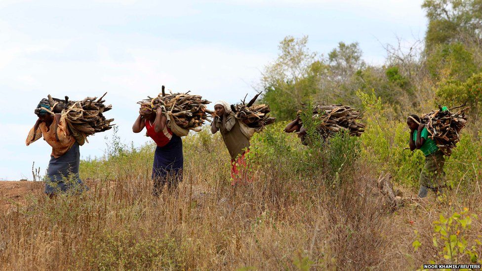 Women carry firewood in the Kibwezi National Forest Reserve in Kenya