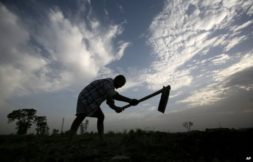 Have Indias Farm Suicides Really Declined Bbc News 1523