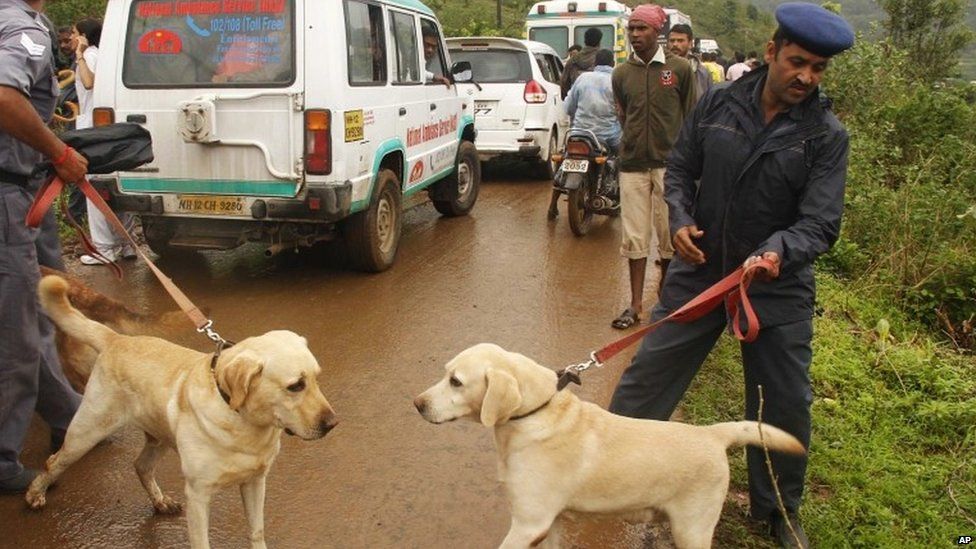 Sniffer dogs face each other as they are moved to help with rescue operation at the site of a landslide in Malin village, in the western Indian state of Maharashtra, Wednesday, July 30, 2014.