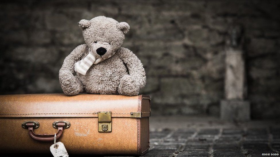Teddy bear on a suitcase