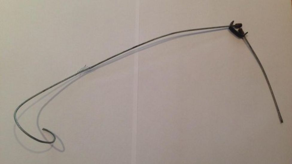 Stormont has 'no plans' to ban 'cruel' animal snares BBC News