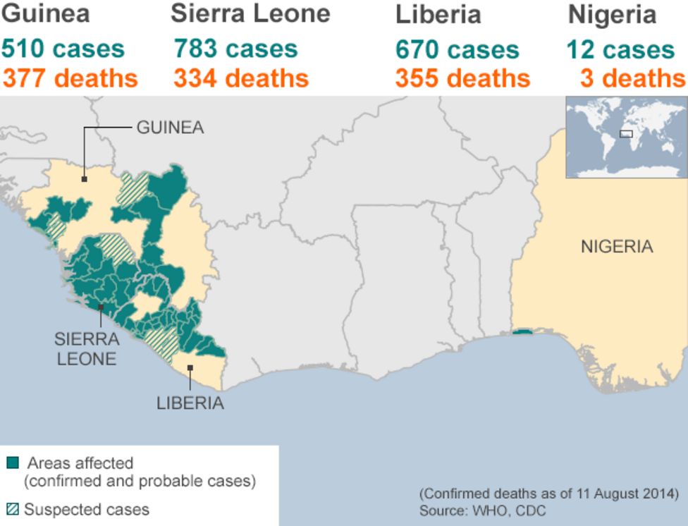 Ebola crisis vastly underestimated, says WHO BBC News